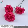 3-headed Manta Rose WY, Rose Red