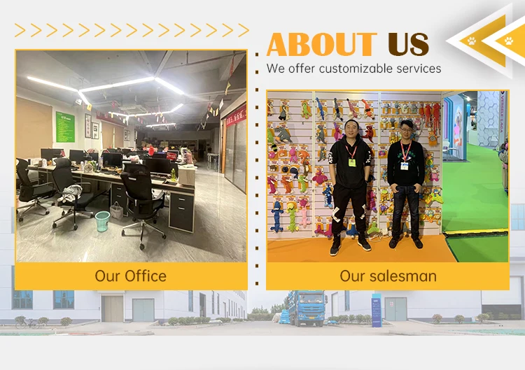 Designer Luxury Brand Dog Toys Cute Pet Dog Chewing Squeaky Toy Plush