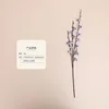 Type b blue