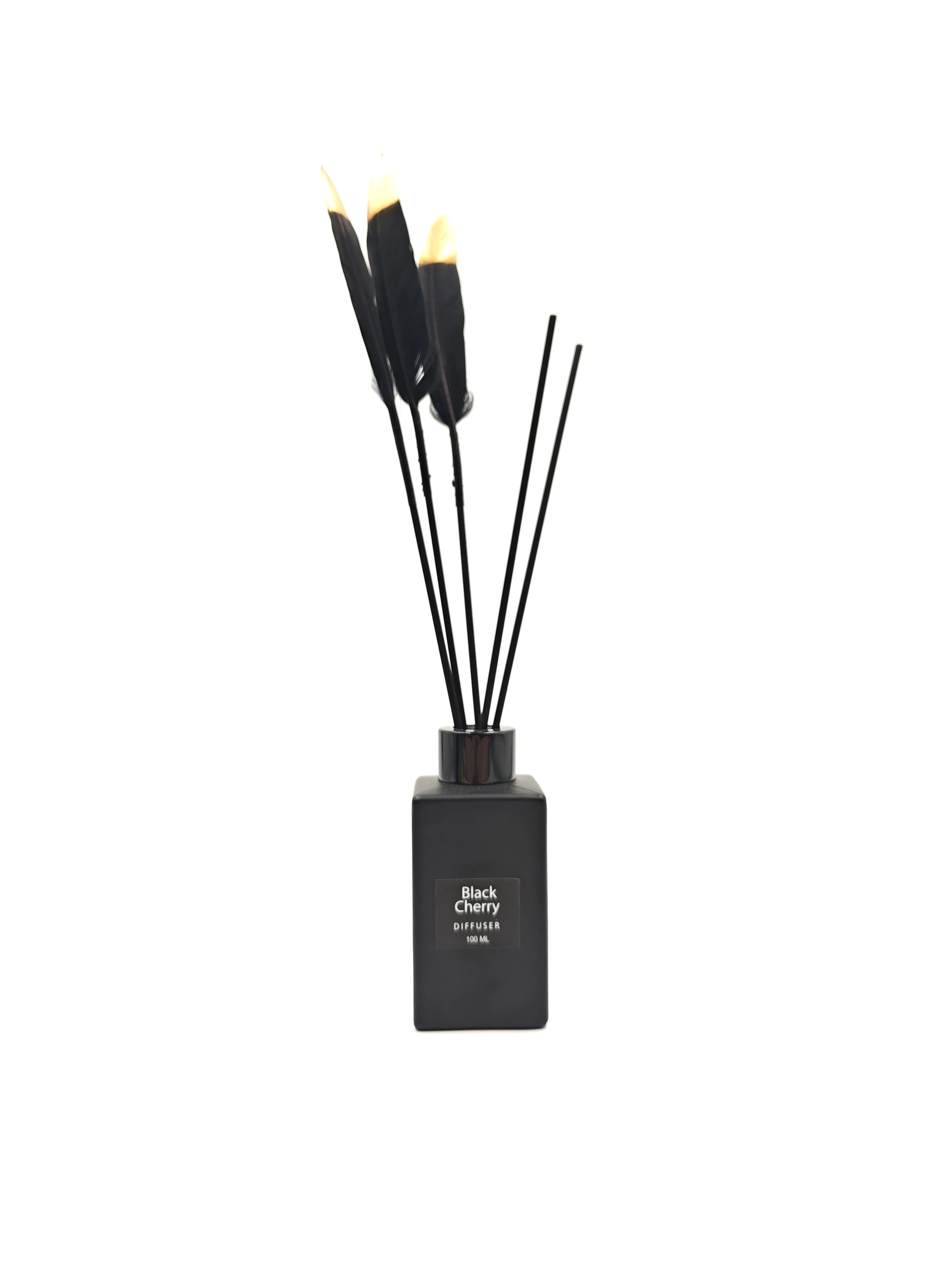 OEM Reed Diffuser Sets Long Lasting Fragrance House Perfume With Feather