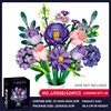 LS-JJ9258