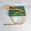 yellow leash
