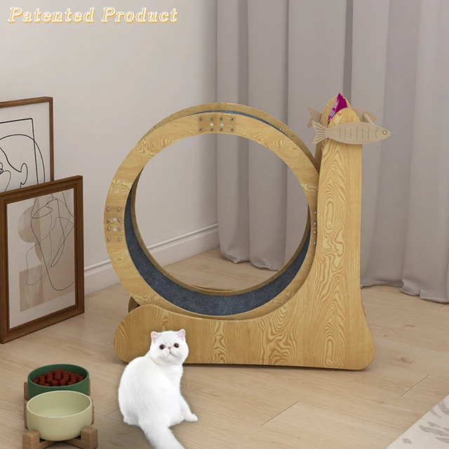 High quality eco-friendly wooden pet rinning exercise cute cat wheel snail treadmill for fun cats toys