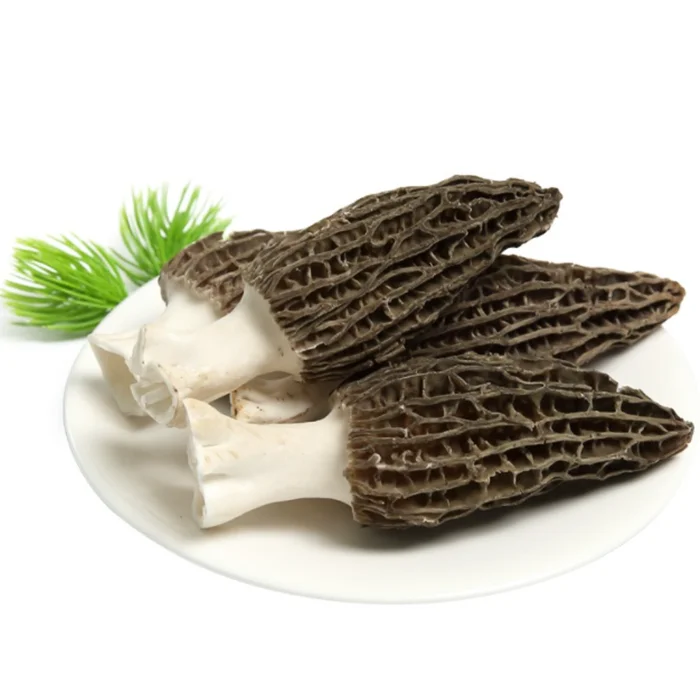 Yang Du Jun High Quality Black Morel Mushroom With Best Price Buy