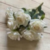 Blanc crème