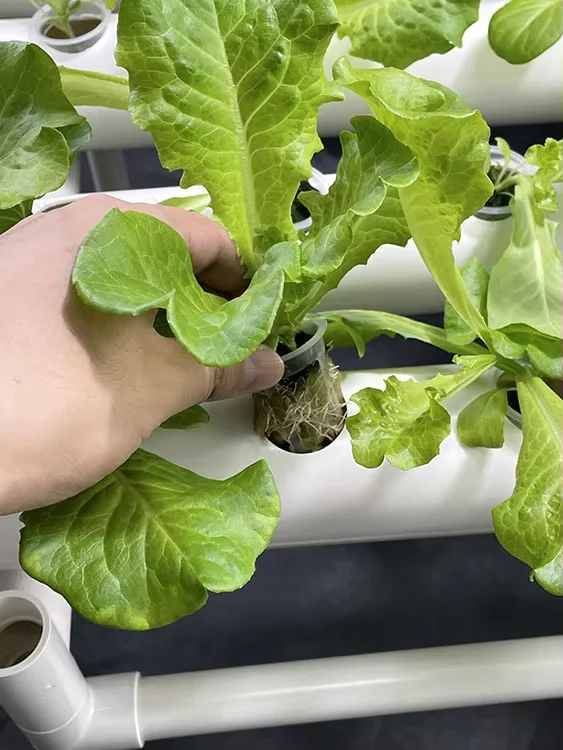 product a one 3 layers 108 holes vegetable hydroponics rack soilless indoor outdoor planting equipment smart grow irrigation pump-3