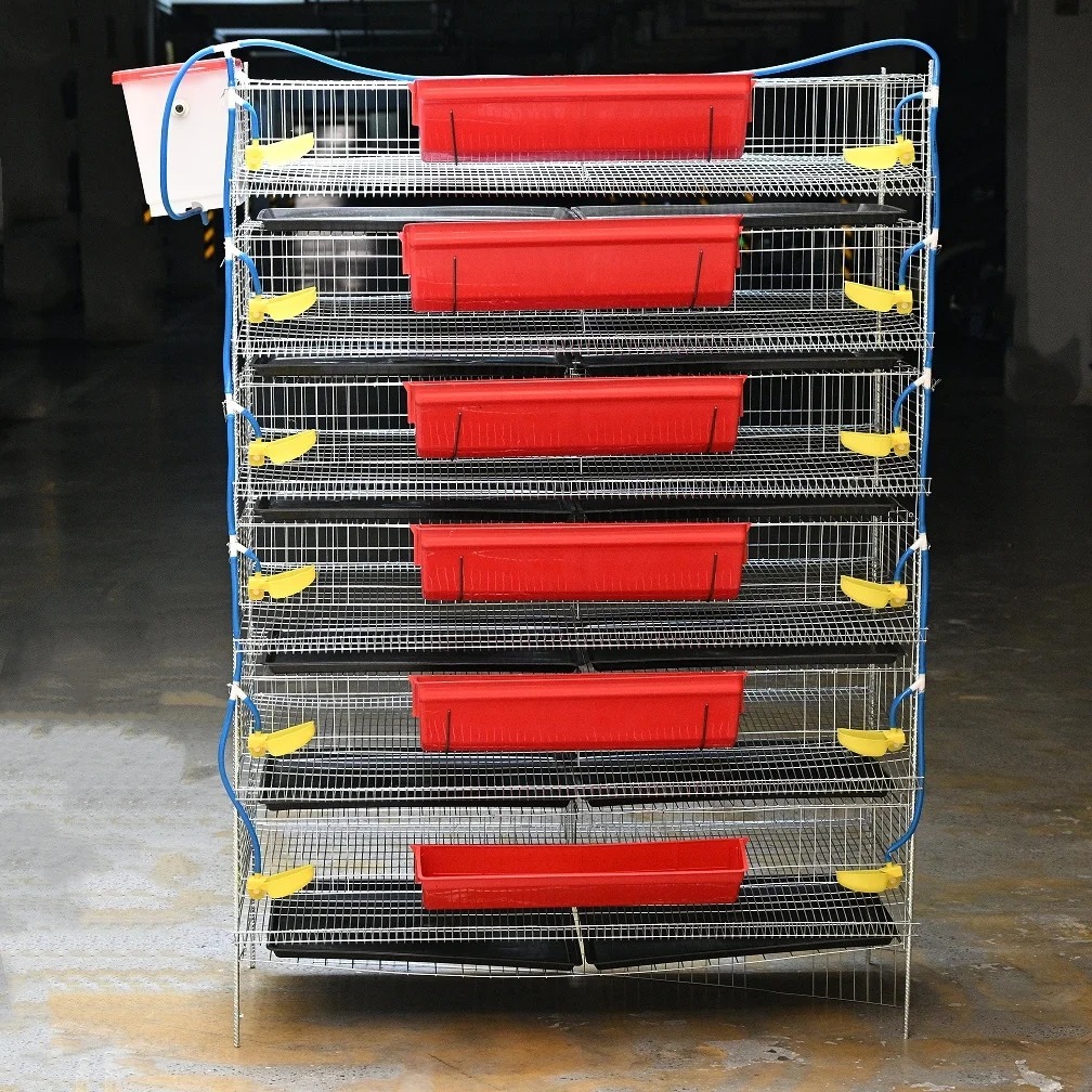 Poultry Quail Layer Cages for Quail Birds Farming Cage for Quail Hens for Egg Production
