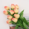 Peach Pink