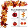 Sunflower C