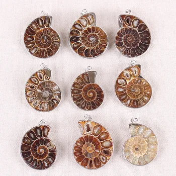 Fossils Conch Pendant Ammonite Agate Slices Pendant For Necklace Jewelry