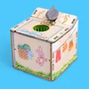 DP-TM-0106