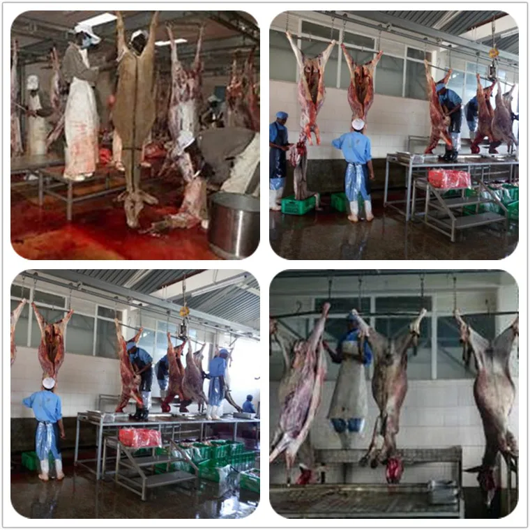 Donkey meat slaughterhouse processing and slaughtering machine