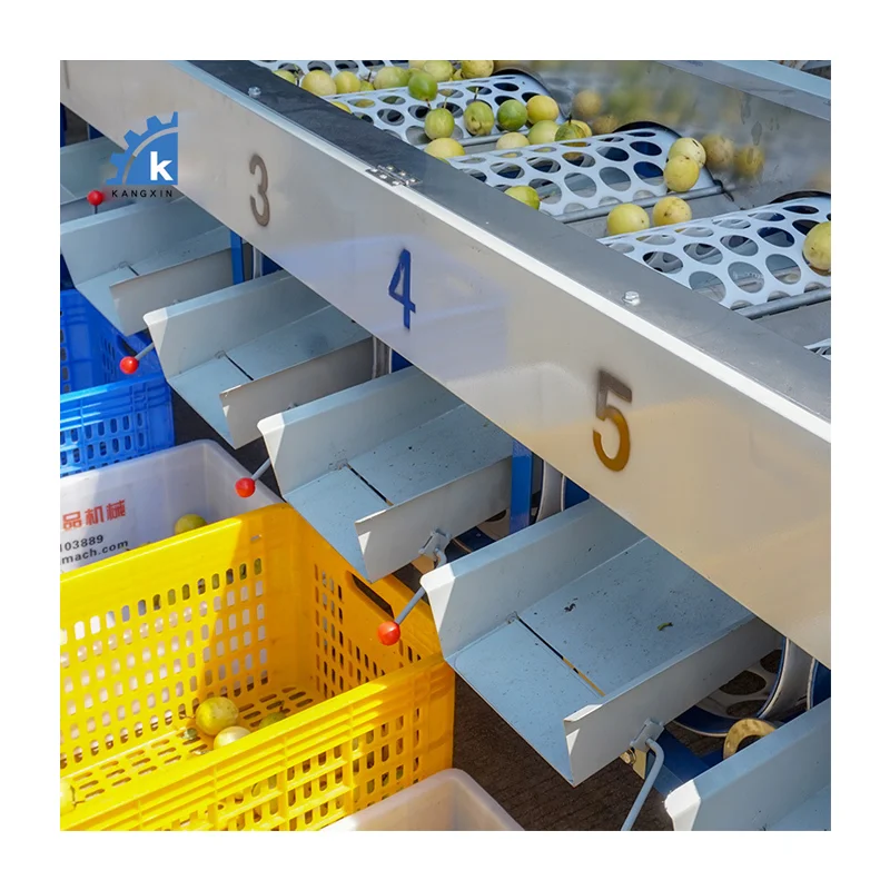 Widely Used Olive Fruit Sorting Machine Coffee Cherries Sorter Cherry Grading Grader