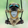 Local tyrant black glasses pug