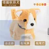 Chai dog-electric