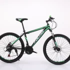 Bicycle Hongqi Adult 29 Inches Body Alloy Material Cheap Wholesale Bicycle Mountain Biking