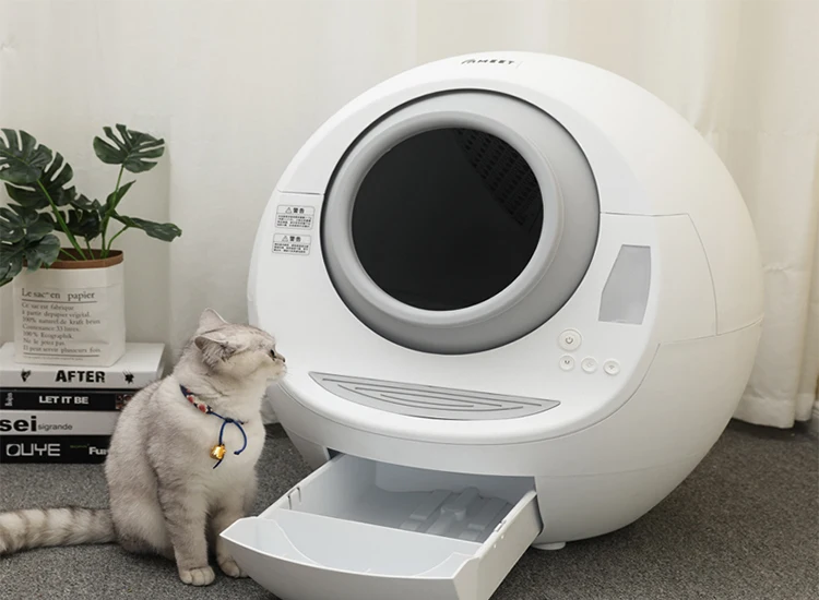 automatic cat boxes