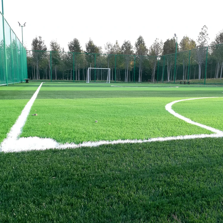 turf (25)