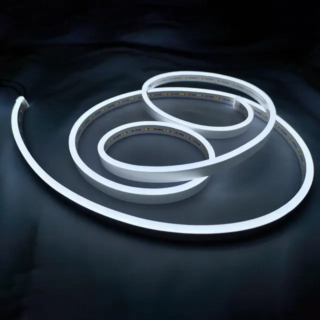 12V LED Neon Light Strip Waterproof Silicone Indoor Outdoor Building Room Lamp Supplier