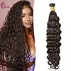 Italian curly #4