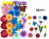 M031-8   เอ็ม031-8