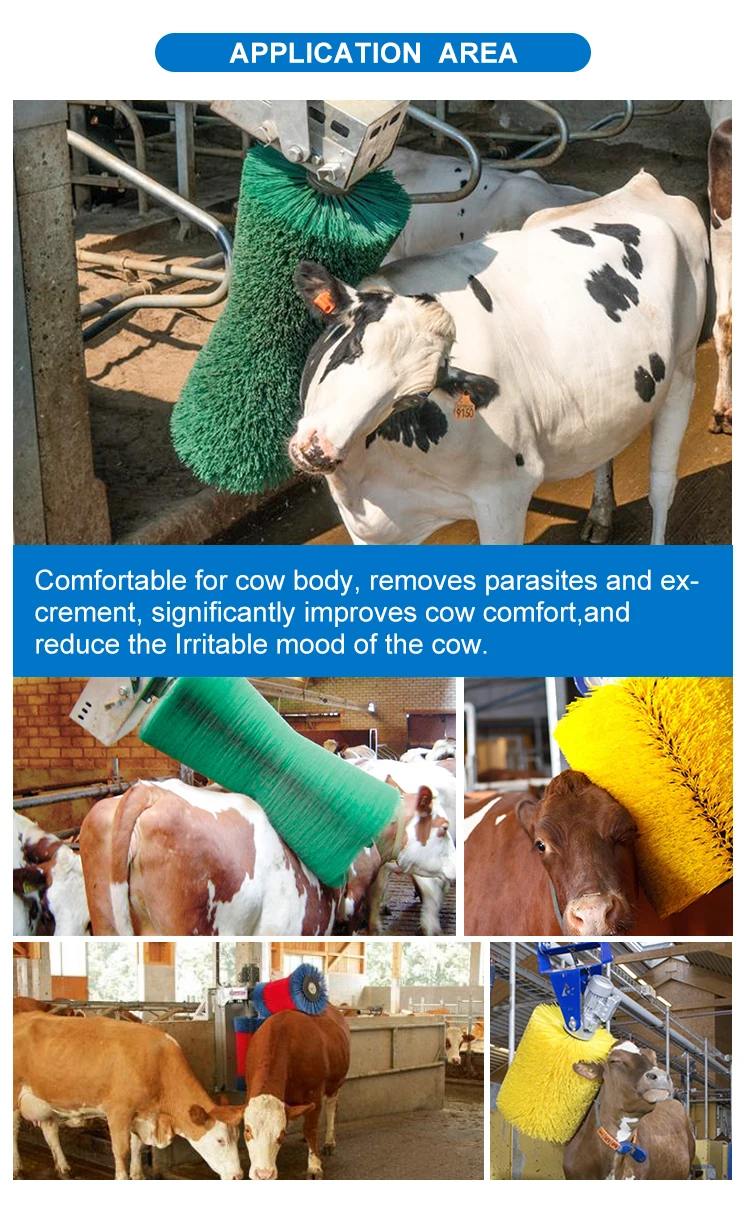 Electric Cows Cleaning Brush Cattle Scratching For Farm Animals Buy Electric Cow Brush Cow Cleaning Brush Cow Brush Product On Alibaba Com