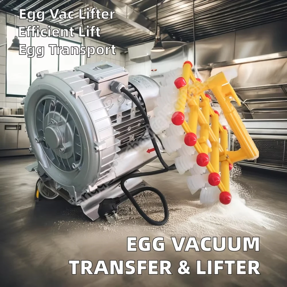Egg Candling Table and Transfer Machine Vacuum Egg Lifter Pump Egg ...