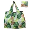 A305 monstera color