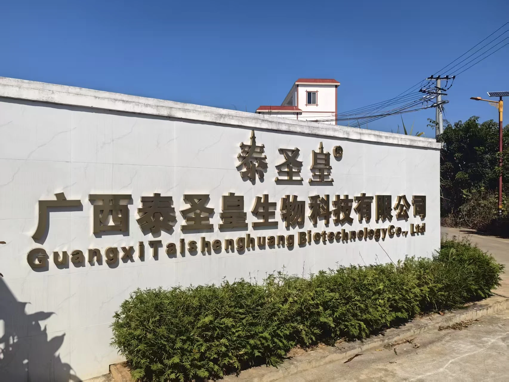 Guangxi Taishenghuang Biotechnology Co., Ltd. 2