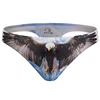 Perizoma bianco --- Aquila