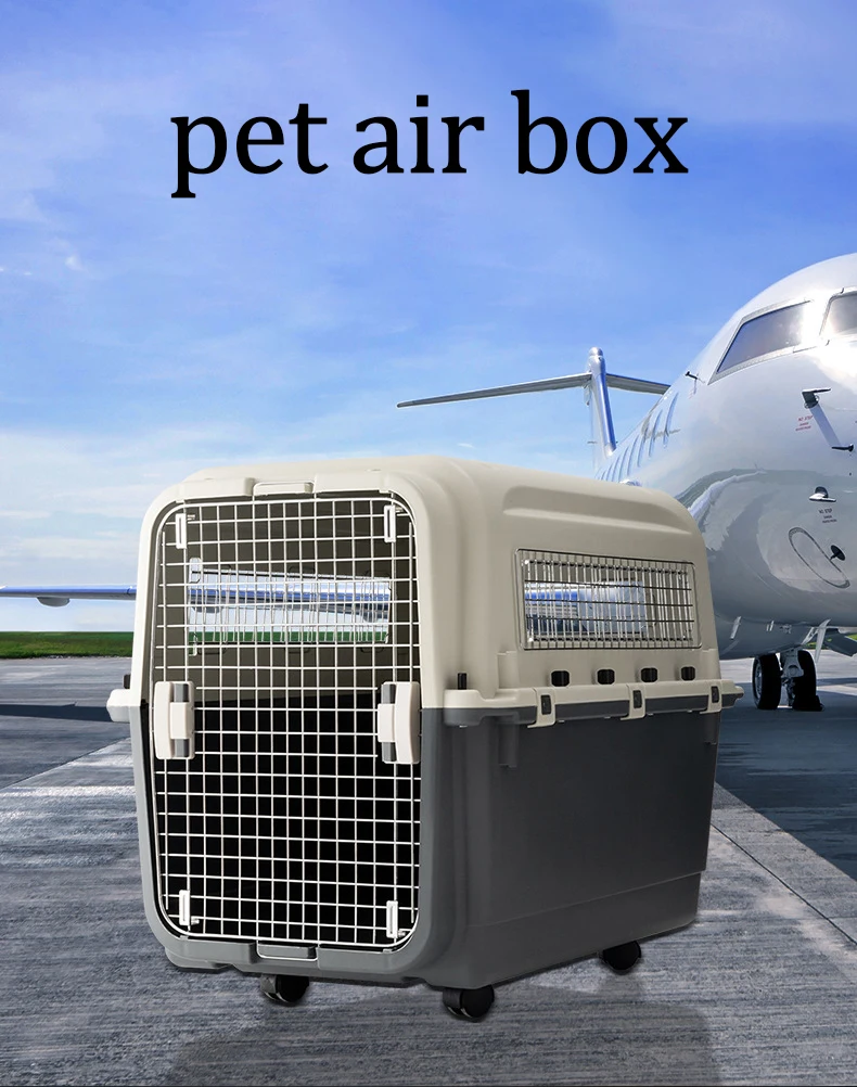 Removable Plastic Travel Box Transporting Cats Crate Pet Carrier Cage