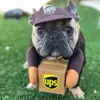 UPS saver