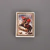 Picture frame-napoleon