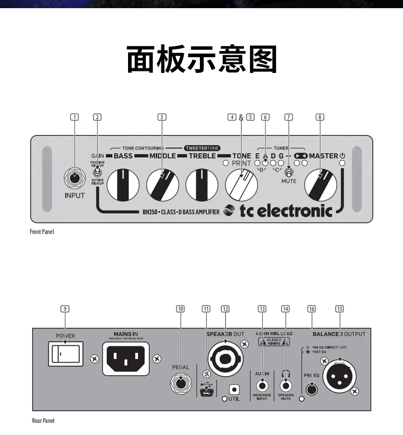 TC Eletronics BH250 Amplificador de potência de baixo Caixa