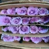 Canción del mar rosa 1 corbata 20 ramas