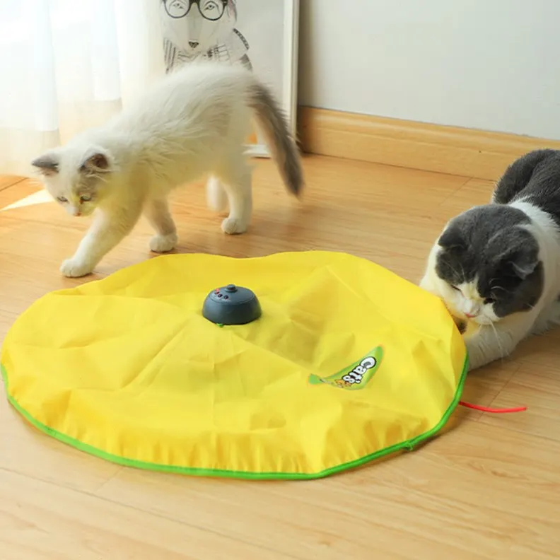 cat toy moving under blanket