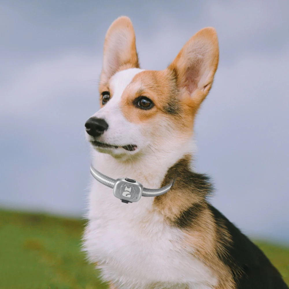 Latest Ip67 Waterproof Mini Gps Tracker Pet Collar Anti-lost Real Time ...