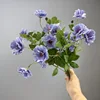 Púrpura Azul