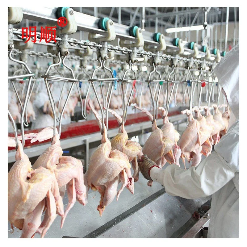 Chicken Slaughter Machine  Small Poultry Slaughter Machine Plant  Pigeon Slaughtering Line