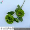 Single-stem three-headed fragrance RS Green