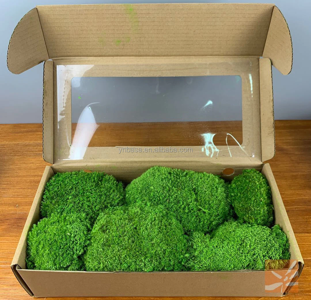 Wholesale Fresh Preserved Moss Reindeer Artificial Green Moss For Wall
