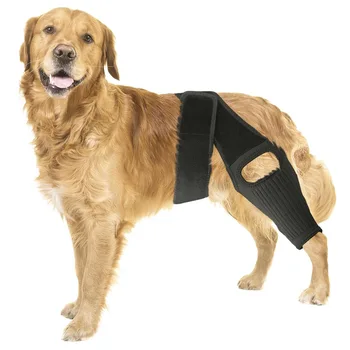 Dog Knee Support Brace for Hind Leg Injury Pet Leg Rehabilitation Strap for Joint Protection for Living Room Use