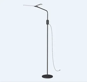 Living Room Standing Lamp LED Floor Lamp 3 CCT LED Light Lamp Flexible Reading Lamp