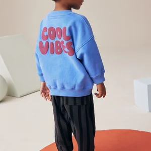 Wholesale High Quality Long Sleeve Fleece Cotton Puff Print Children's Sweatshirt Baby Boys Winter Sweatshirts