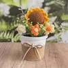Girasol - Maceta grande