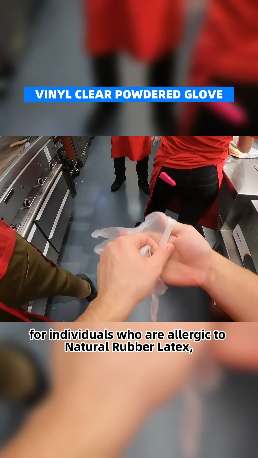 Food Grade Disposable Vinyl Gloves Examination Gloves Powdered Or