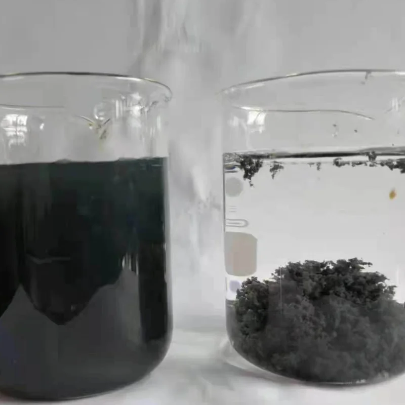 Printing/Dyeing Sewage Treatment Plant Dissolved Air Flotation DAF System Waste Water Treatment Plant