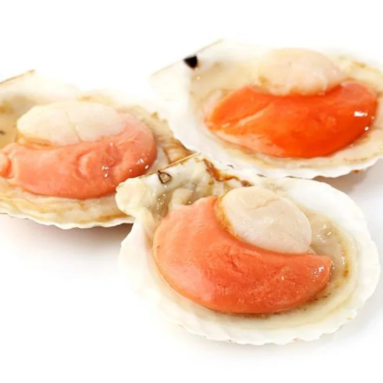 Iqf Frozen Half Shell With Roe Sea Scallop Prices For Sale Buy Half