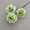 Rosa de diamante sin hojas verde