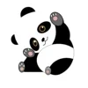 Red panda (with lanyard)